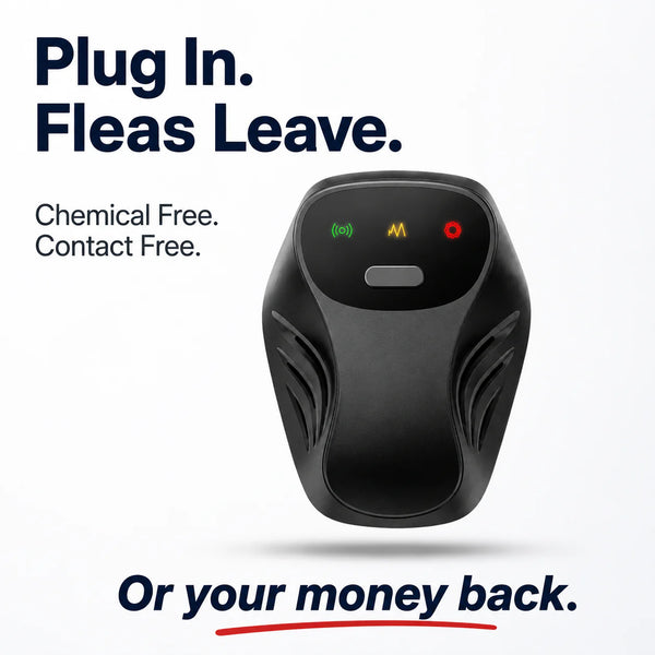 Fleas Electric Device
