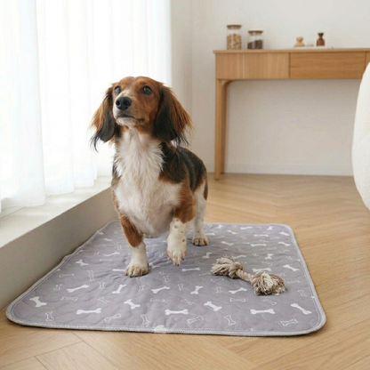 Pawvera CleanPad™